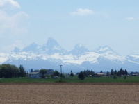 GDMBR: We're looking eastward toward our destination. These are the tallest peaks in Grand Tetons National Park.